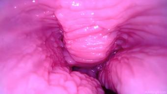BTS Insideout Pussy Giggles - Oct 8, 2022