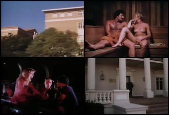 Co Ed Fever 480P