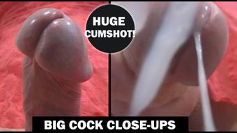 Big Cock Worship POV