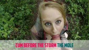 CUM BEFORE THE STORM #05 - THE MOLE