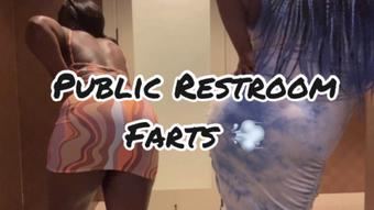 Double Domme Public Restroom farts - May 20, 2022