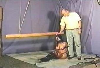 Dp-37