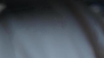 Fcm.T0008_S012_Pure
