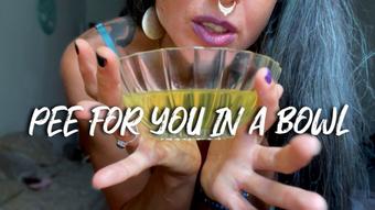POV Pee for you in a bowl