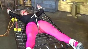 Kendralynnsentancefulledit