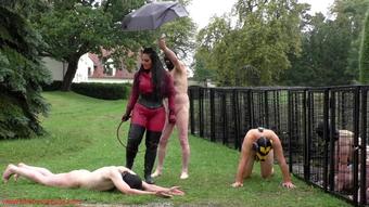 Ezada Sinn - Brutal Whipping On A Cold Rainy Day