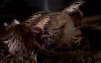 Amazone Sex Сц (1)