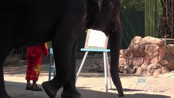Atkgirlfriends.Bangkok.3-4.13.06.17.Jamie.Marleigh.Jamie.Gets.To.Meet.Giraffes.Face.To.Face.To.Feed.Them