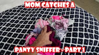 Mom Catches a Panty Sniffer Part 1 - June 12, 2018