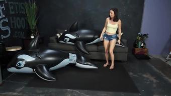 Amber's Bounces and Deflates Whales