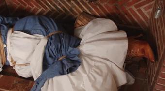 Blue Damsel In The Fireplace - Lorelei And Jon Woods