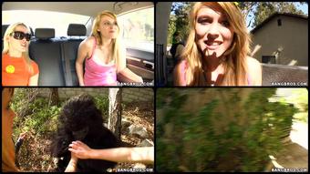 75  Tara Lynn Foxx  Katie Summers  Rebecca Blue  43   720P 1 1       Not Monkeying Around    11 02 2011