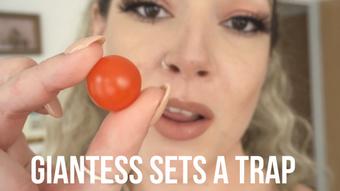 Giantess Sets A Tiny Trap - August 14, 2023