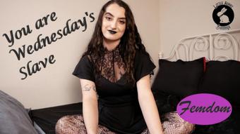Wednesday Makes You Her Submissive - Aug 11, 2022