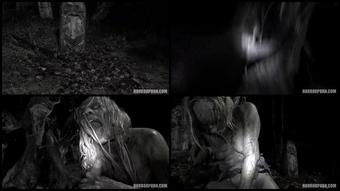 Walking Zombies 3840X2160
