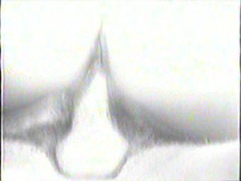 Lover'S Trance 1