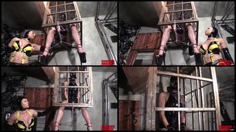 Miranda Wall Cage Weighting
