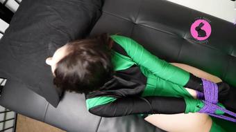 Shego Hogtied