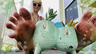 Gardening Goddess IV: Succulent Soles - July 17, 2021