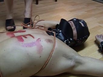 Obey The Bitch 5 / (Charisma Gold Entertainment)