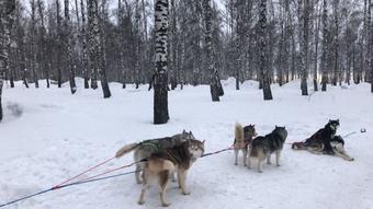 Gina Gerson in Siberia