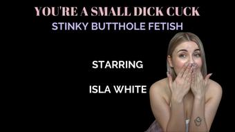 YOU'RE A SMALL DICK CUCK : STINKY BUTTHOLE FETISH