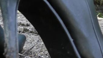 Ygk - Ygk Boot Camp - Grovelling Worm