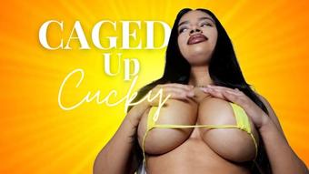 Caged Up Cucky - January 03, 2023