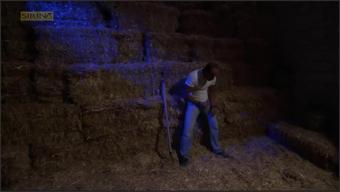 I Cought My Employee Jurking Backyard And Rided His Cock For Fun Sirina Tv