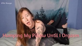 Latex Pillow Humping - December 10, 2021