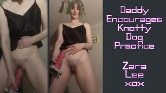 Daddy Suggests Knotty Dog Practice Gape - Dec 4, 2022