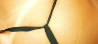 Monicasanthiagoxxx Elisa Sanches Passive For Me