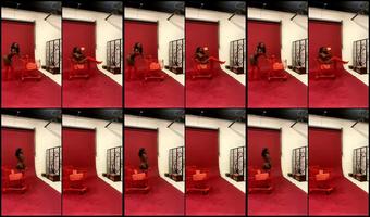 Bekah Applesoup 17 11 2021 2277506126 Stream Started At 11 17 2021 11 01 Pm Behind The Scenes With Koko