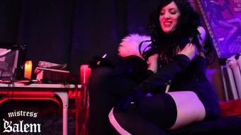 Mistress Salem Stroke It Raw Dunce Happy Halloween Joi