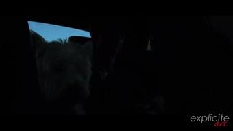 Gonzo Mode D'Emploi