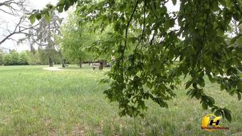 Katerinahartlova Spy Katerina Naked In Park Manyvids