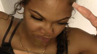 Remy Boo Dommes Honey Dew For Raise