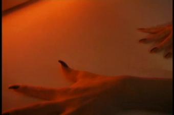 Xtreme Desires, Scene 5