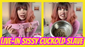 Live-In Sissy Cuckold Slave - January 08, 2025