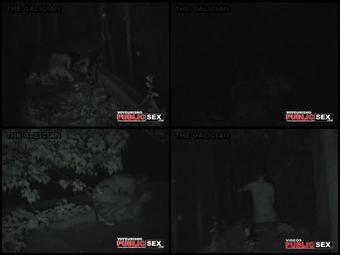 Night Watching 098