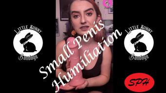 Small Penis Humiliation with Toys - Dec 1, 2021