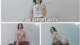 Irooochan Job Opportunity
