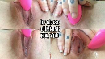 Up Close Cuming For You
