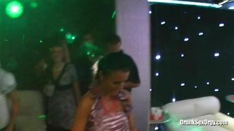 Drunksexorgy.Com Crazier By The Dozen Part 1 05.08.2011 Kate Gold