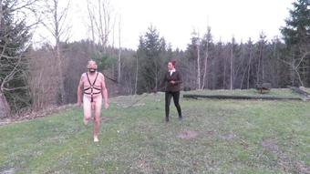 Ponyplay