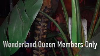 Wonderland Queen Members Only - Apr 20, 2023