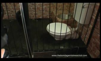 Welcome-To-The-Cells
