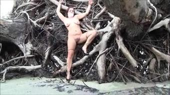 Driftwood-Bound-2