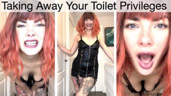 Taking Away Your Toilet Privileges - December 04, 2023