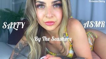 SALTY ASMR By The Seashore - June 14, 2022